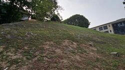 Coronation Road (D10), Detached #626631581